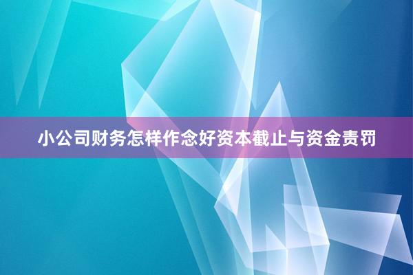 小公司财务怎样作念好资本截止与资金责罚